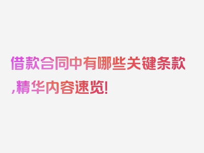 借款合同中有哪些关键条款，精华内容速览！