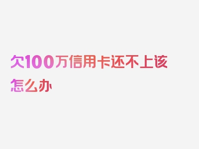 欠100万信用卡还不上该怎么办