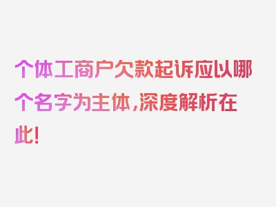 个体工商户欠款起诉应以哪个名字为主体，深度解析在此！