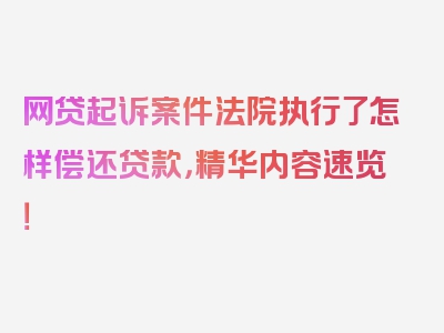 网贷起诉案件法院执行了怎样偿还贷款，精华内容速览！