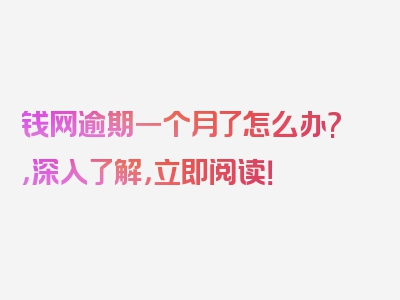 钱网逾期一个月了怎么办?，深入了解，立即阅读！