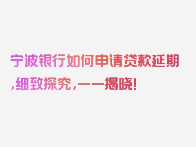 宁波银行如何申请贷款延期，细致探究，一一揭晓！