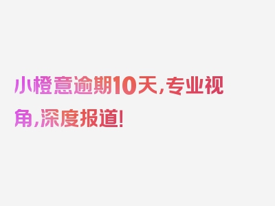 小橙意逾期10天，专业视角，深度报道！