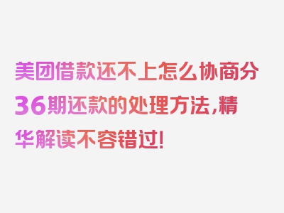 美团借款还不上怎么协商分36期还款的处理方法，精华解读不容错过！