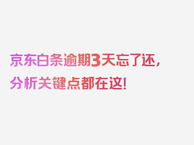 京东白条逾期3天忘了还，分析关键点都在这！