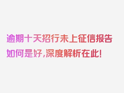 逾期十天招行未上征信报告如何是好，深度解析在此！