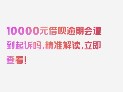 10000元借呗逾期会遭到起诉吗，精准解读，立即查看！