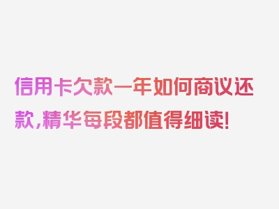 信用卡欠款一年如何商议还款，精华每段都值得细读！