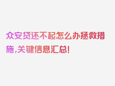 众安贷还不起怎么办拯救措施，关键信息汇总！