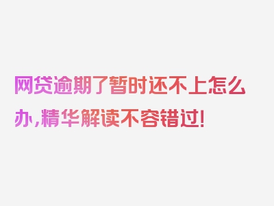 网贷逾期了暂时还不上怎么办，精华解读不容错过！