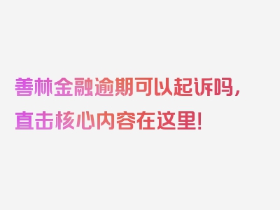 善林金融逾期可以起诉吗，直击核心内容在这里！