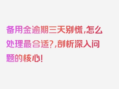 备用金逾期三天别慌,怎么处理最合适?，剖析深入问题的核心！