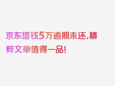 京东借钱5万逾期未还，精粹文章值得一品！