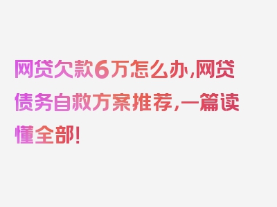 网贷欠款6万怎么办,网贷债务自救方案推荐，一篇读懂全部！