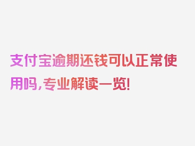 支付宝逾期还钱可以正常使用吗，专业解读一览！