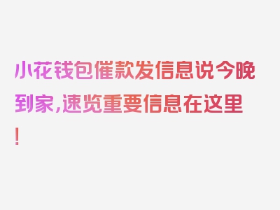 小花钱包催款发信息说今晚到家，速览重要信息在这里！