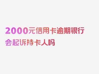 2000元信用卡逾期银行会起诉持卡人吗