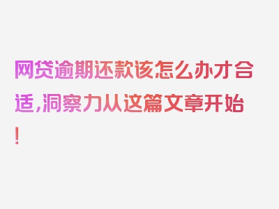 网贷逾期还款该怎么办才合适，洞察力从这篇文章开始！