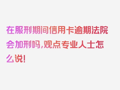 在服刑期间信用卡逾期法院会加刑吗，观点专业人士怎么说！