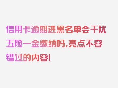 信用卡逾期进黑名单会干扰五险一金缴纳吗，亮点不容错过的内容！