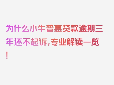 为什么小牛普惠贷款逾期三年还不起诉，专业解读一览！