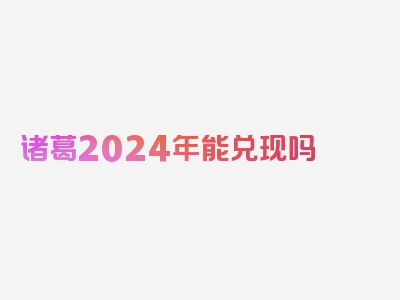 诸葛2024年能兑现吗