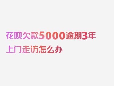 花呗欠款5000逾期3年上门走访怎么办