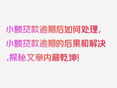 小额贷款逾期后如何处理,小额贷款逾期的后果和解决，探秘文章内藏乾坤！