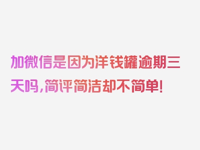 加微信是因为洋钱罐逾期三天吗，简评简洁却不简单！