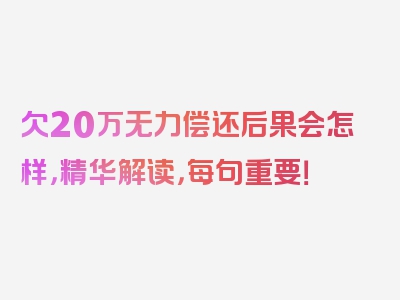 欠20万无力偿还后果会怎样，精华解读，每句重要！