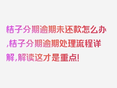 桔子分期逾期未还款怎么办,桔子分期逾期处理流程详解，解读这才是重点！