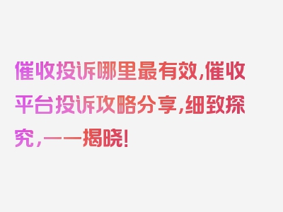 催收投诉哪里最有效,催收平台投诉攻略分享，细致探究，一一揭晓！