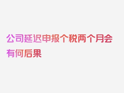 公司延迟申报个税两个月会有何后果