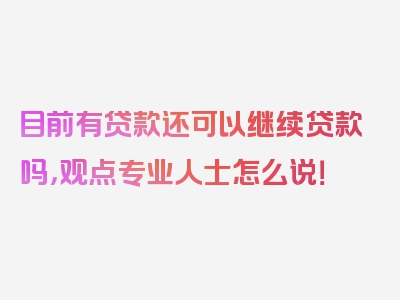 目前有贷款还可以继续贷款吗，观点专业人士怎么说！