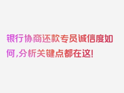 银行协商还款专员诚信度如何，分析关键点都在这！