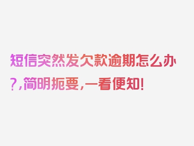 短信突然发欠款逾期怎么办?，简明扼要，一看便知！