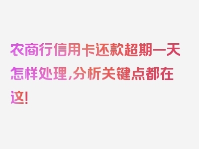 农商行信用卡还款超期一天怎样处理，分析关键点都在这！