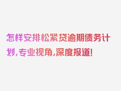 怎样安排松紧贷逾期债务计划，专业视角，深度报道！