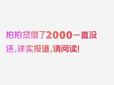 拍拍贷借了2000一直没还，详实报道，请阅读！