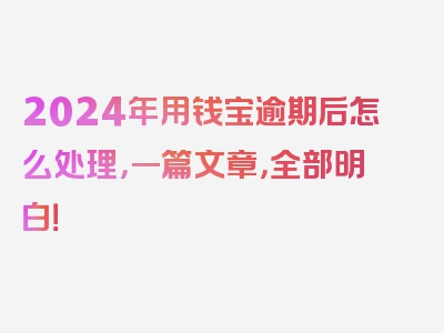 2024年用钱宝逾期后怎么处理，一篇文章，全部明白！