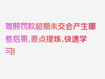 驾照罚款超期未交会产生哪些后果，要点提炼，快速学习！