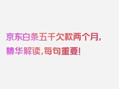 京东白条五千欠款两个月，精华解读，每句重要！