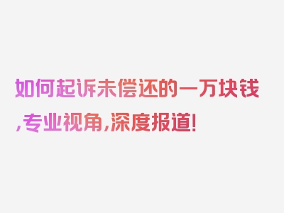 如何起诉未偿还的一万块钱，专业视角，深度报道！