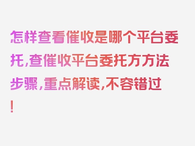 怎样查看催收是哪个平台委托,查催收平台委托方方法步骤，重点解读，不容错过！