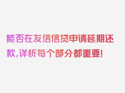 能否在友信信贷申请延期还款，详析每个部分都重要！