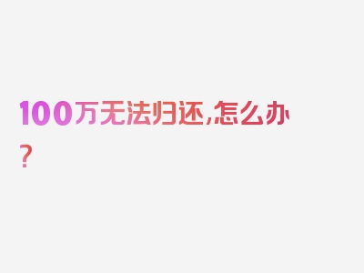 100万无法归还,怎么办？