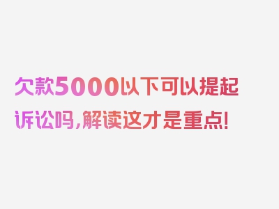 欠款5000以下可以提起诉讼吗，解读这才是重点！