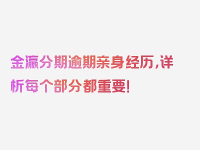 金瀛分期逾期亲身经历，详析每个部分都重要！