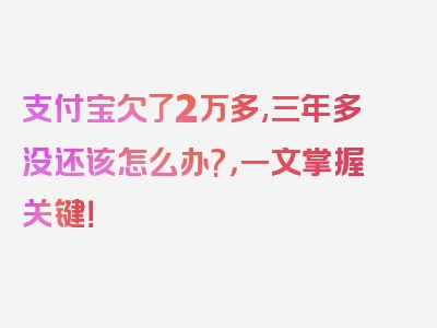 支付宝欠了2万多,三年多没还该怎么办?，一文掌握关键！