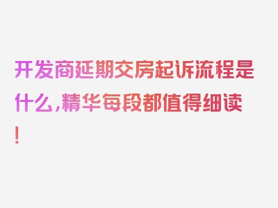 开发商延期交房起诉流程是什么，精华每段都值得细读！